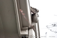 _DSC1484 BayWindowRoof-Gutter _10x200